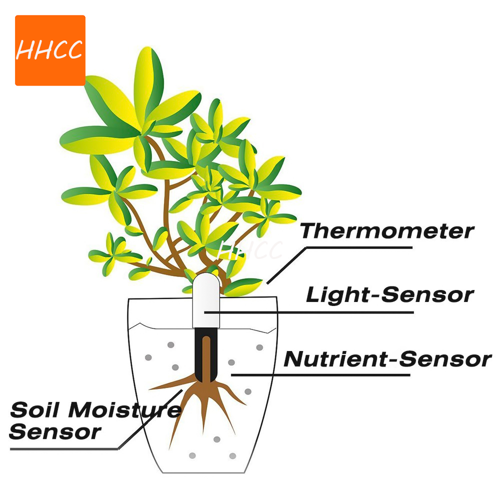 HHCC Hệ Thực Vật Màn Hình Chăm - đánh giá và giá Smart Garden Xiaomi