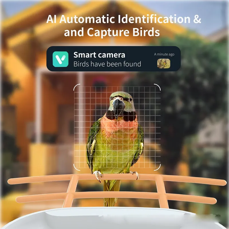 Smart AI Bird Feeder with Bird - đánh giá và giá Smart Garden Ai