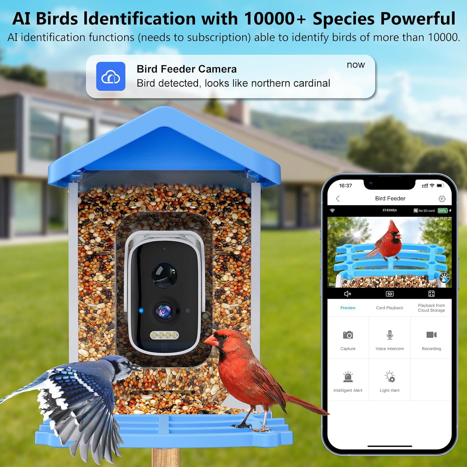 Smart Bird Feeder with Camera  - đánh giá và giá Smart Garden Ai