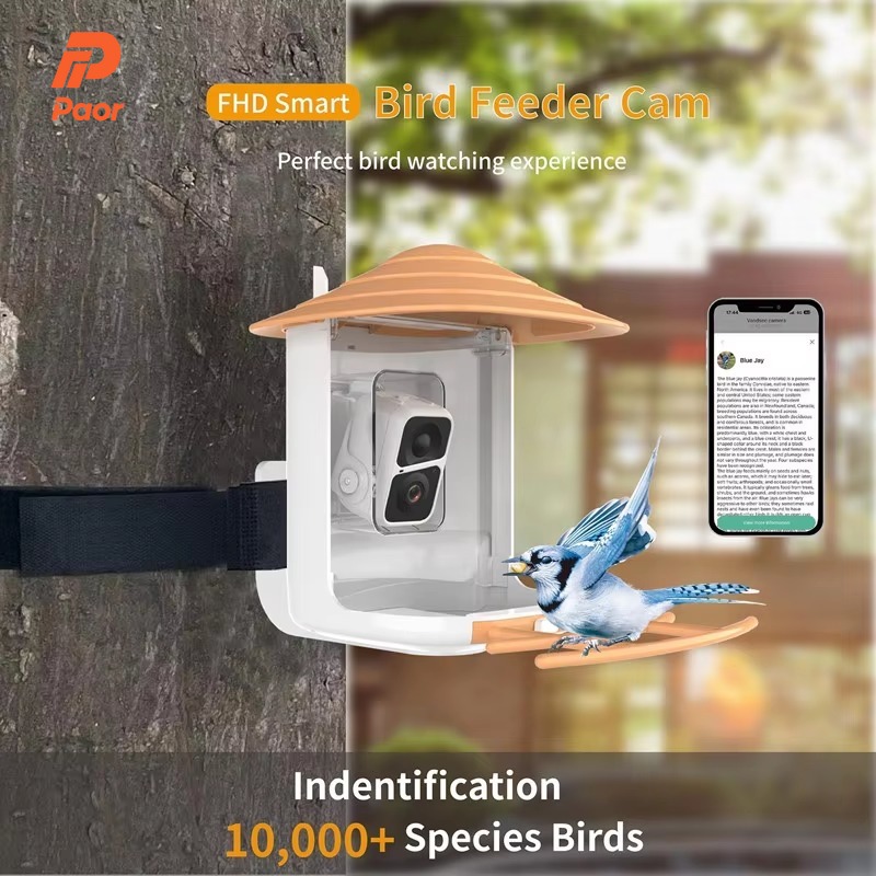 2L IP66 AI Smart Bird Feeder W - đánh giá và giá Smart Garden Ai