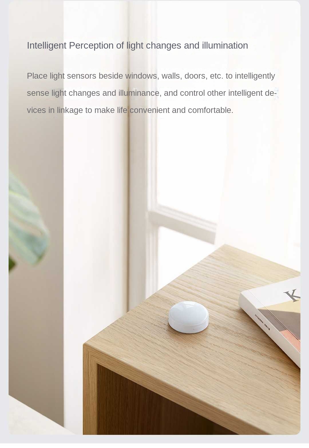 Aqara Light sensor T1 Zigbee 3 - đánh giá và giá Smart Garden Xiaomi