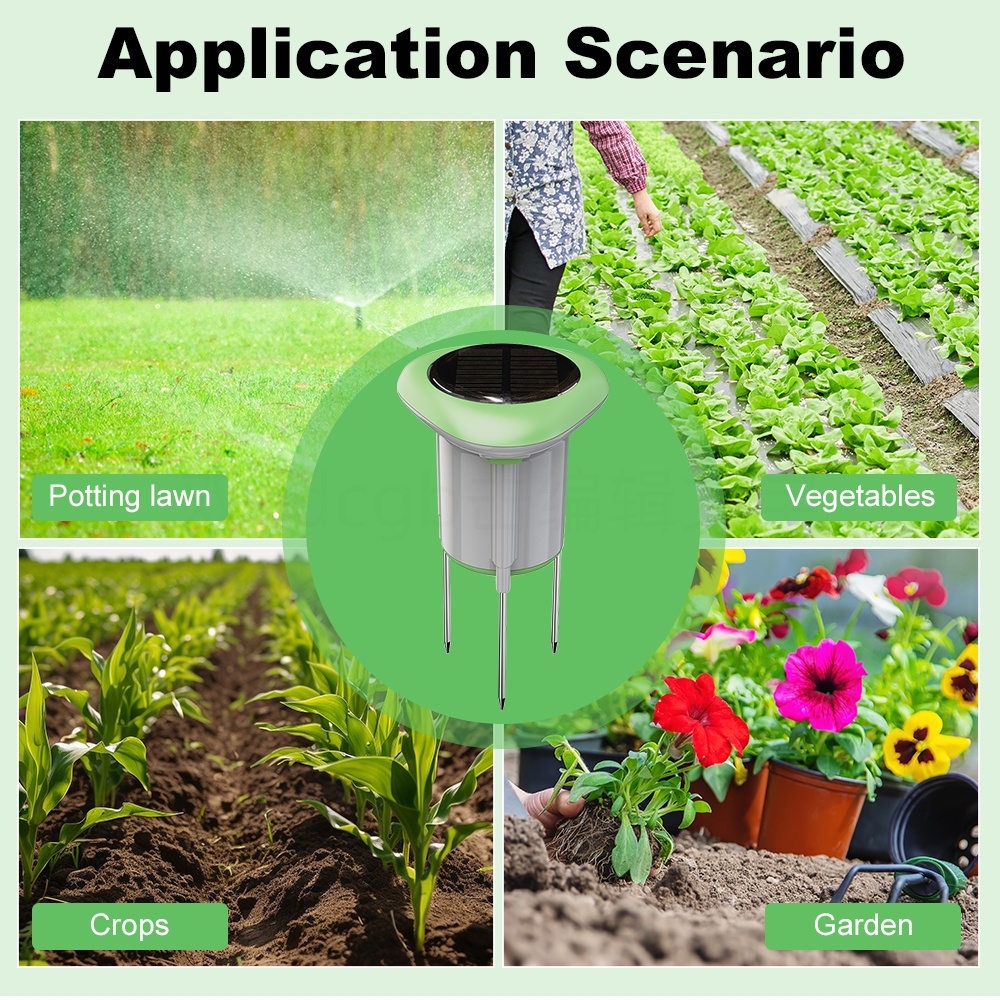 Tuya WIFI Smart Solar Soil Sen - đánh giá và giá Smart Urban Garden