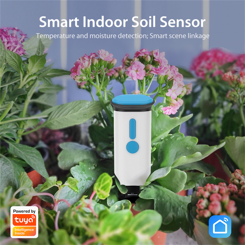Tuya WiFi Smart Soil Sensor IP - đánh giá và giá Smart Soil Sensor