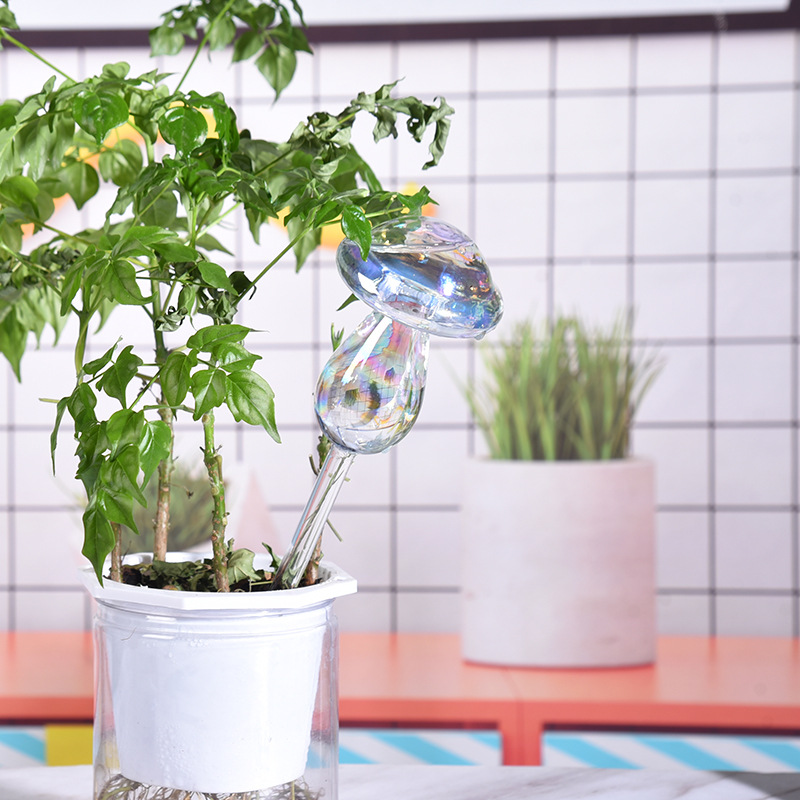 1/2PCS Glass Straw Automatic P - đánh giá và giá Smart Garden Auk