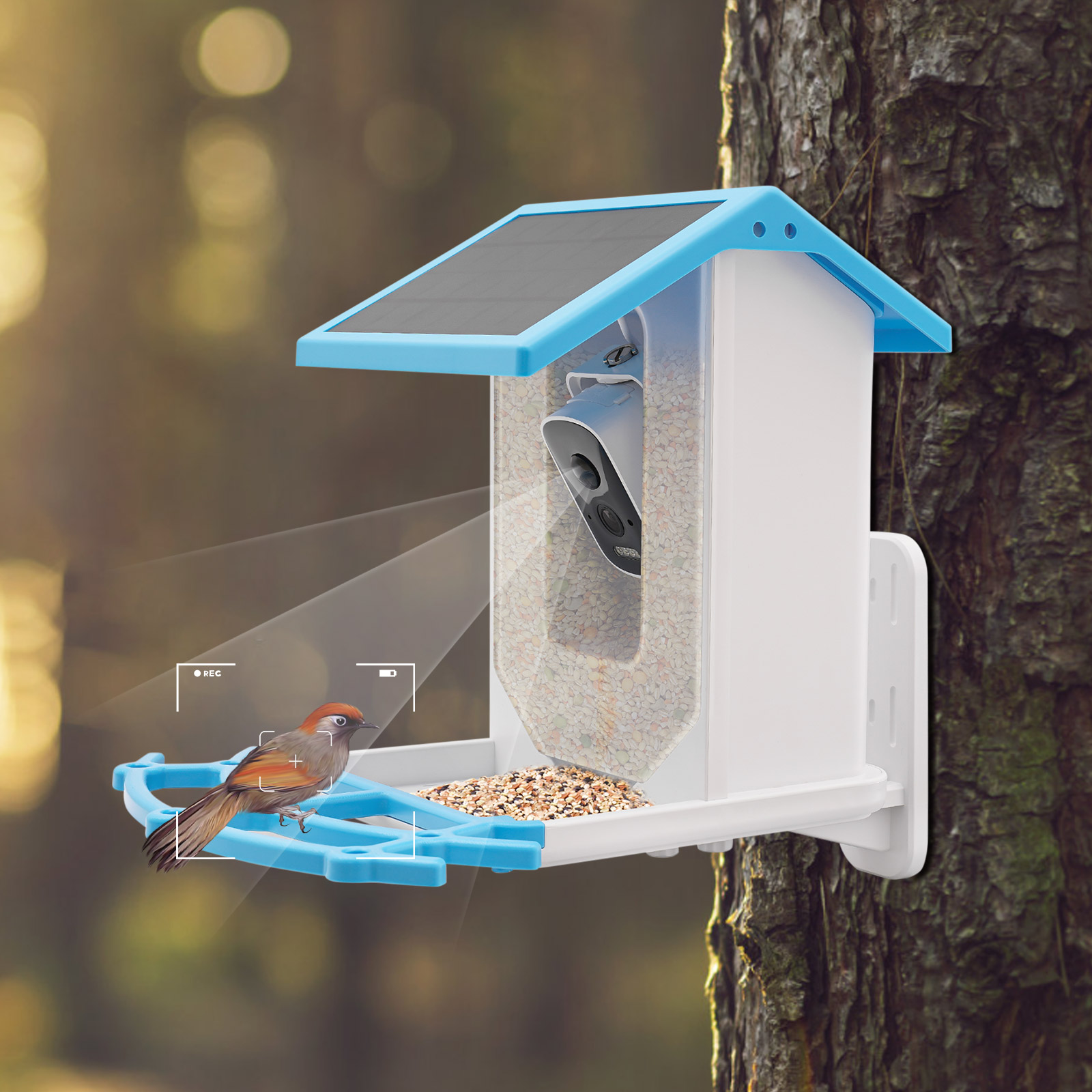 Solar Powered Smart Bird Feede - đánh giá và giá Smart Garden Ai