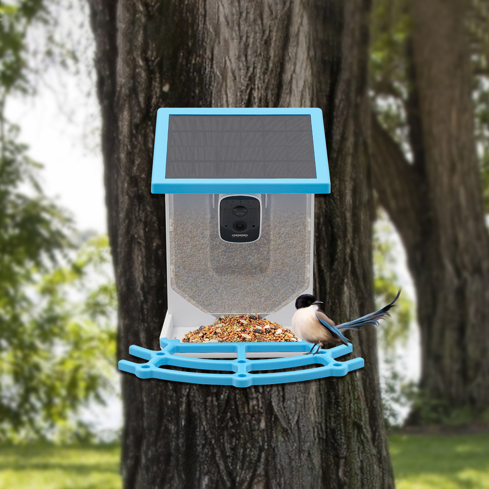 Solar Powered Smart Bird Feede - đánh giá và giá Smart Garden Ai
