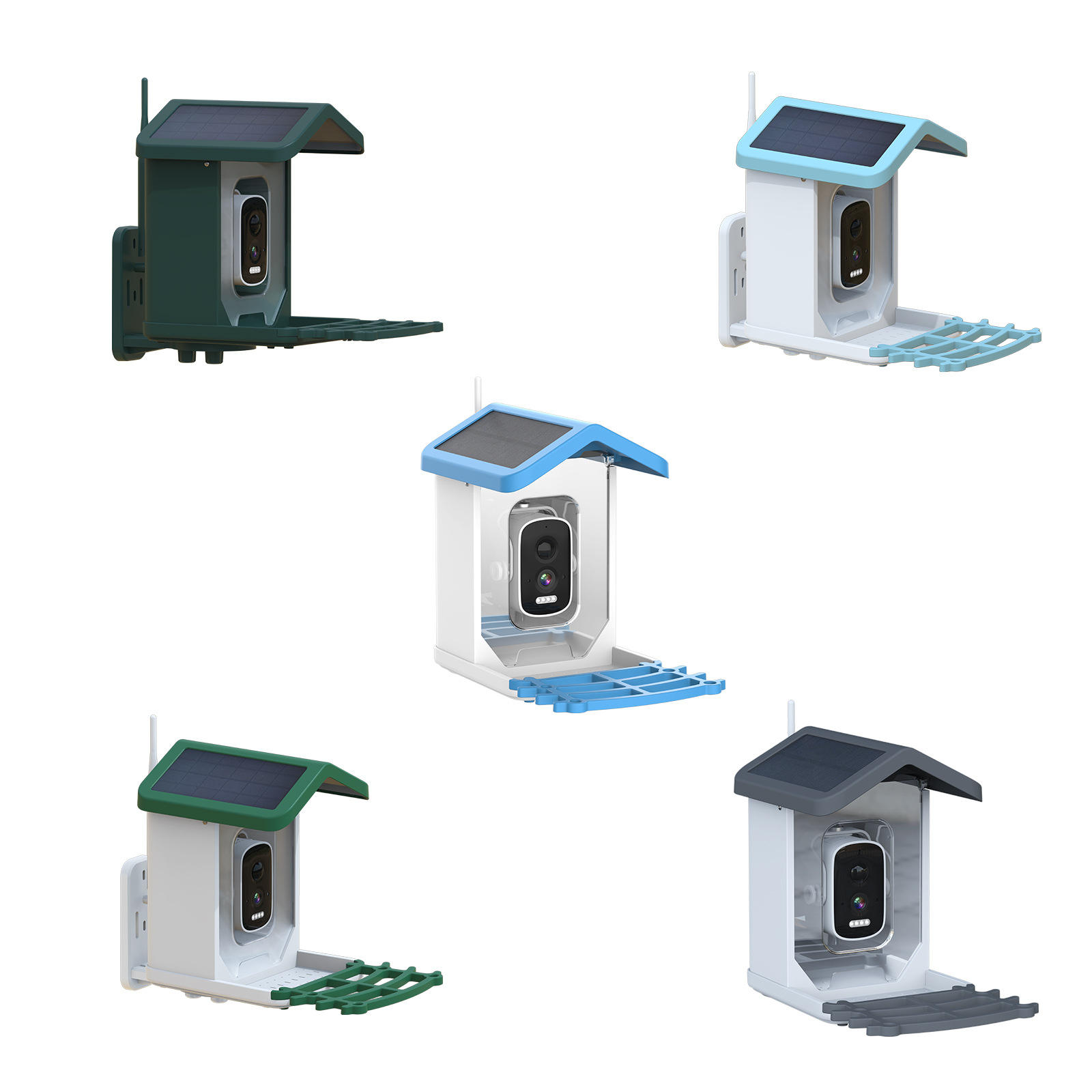 AI WiFi HD Automatic Smart Bir - đánh giá và giá Smart Garden Ai
