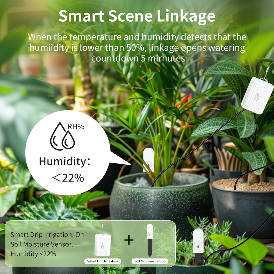 Smart Zigbee 3.0 Soil Tester H - đánh giá và giá Smart Soil Sensor