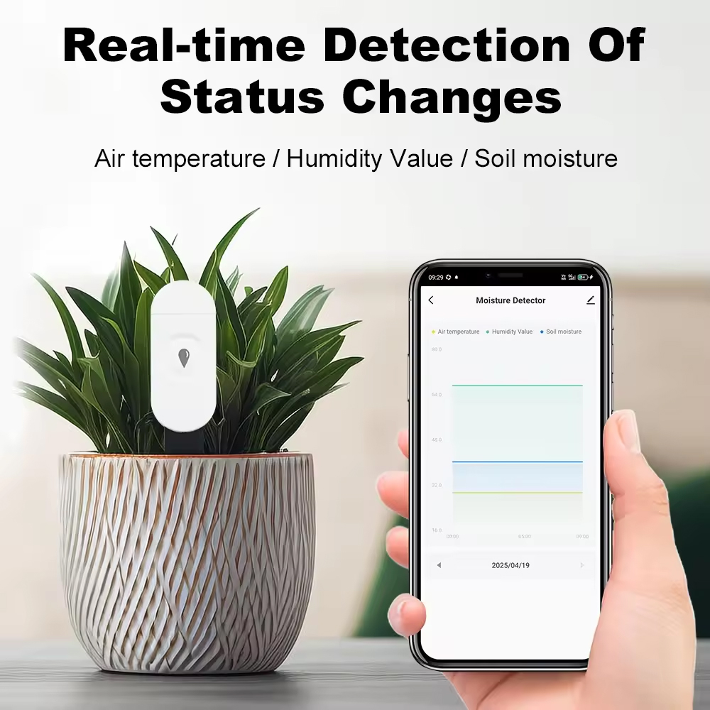 Tuya Zigbee Temperature Humidi - đánh giá và giá Smart Soil Sensor