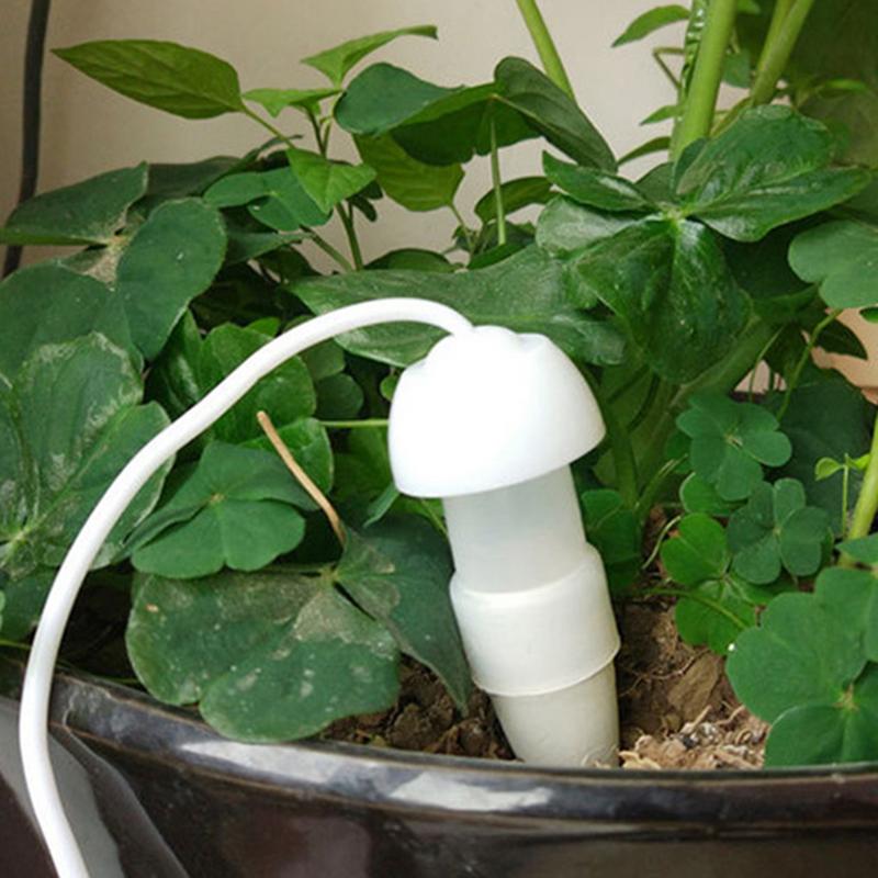 Plant Automatic Watering Devic - đánh giá và giá Smart Garden Auk