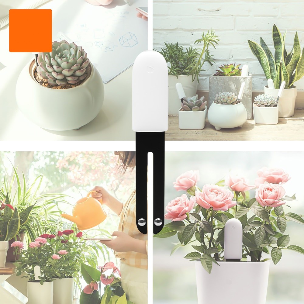 HHCC Smart Flower Flora Monito - đánh giá và giá Smart Garden Xiaomi