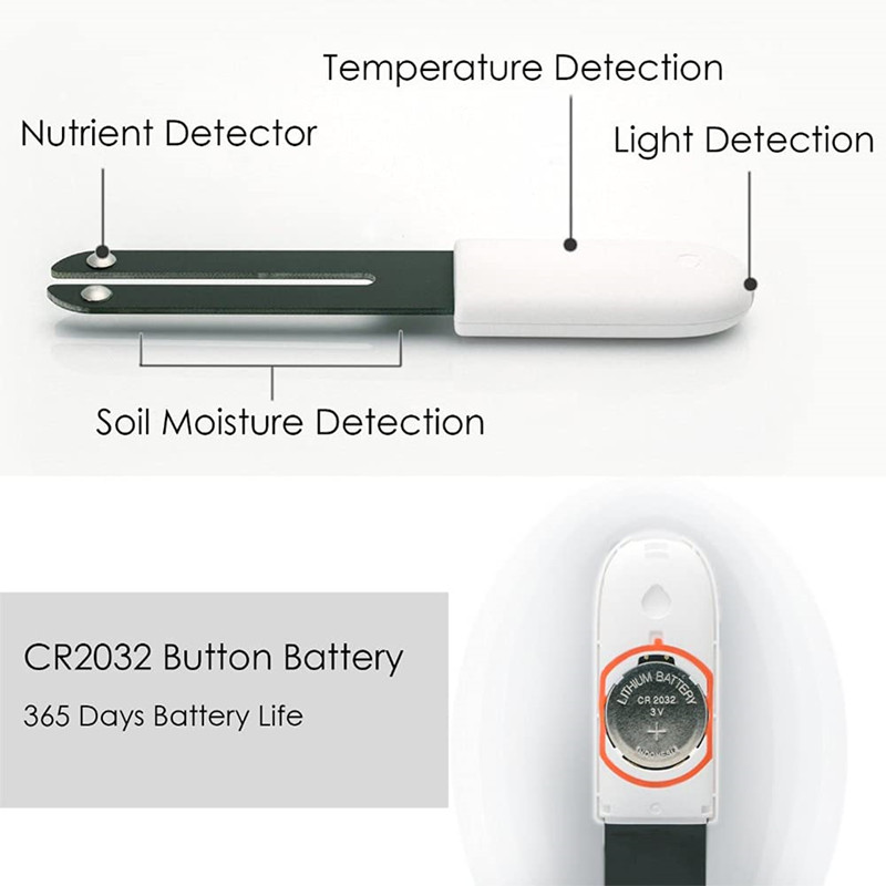 HHCC Flower Monitor Flora Gard - đánh giá và giá Smart Garden Xiaomi