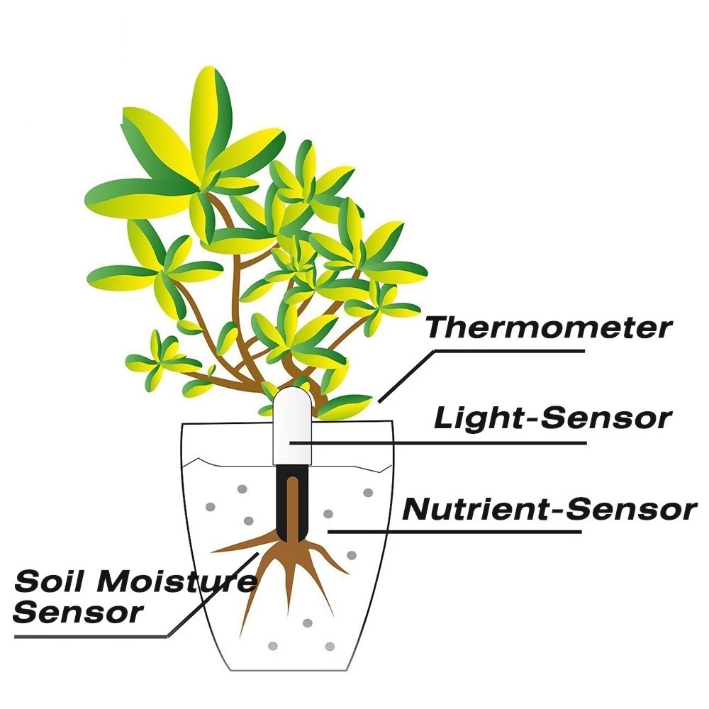 HHCC Flower Monitor Flora Gard - đánh giá và giá Smart Garden Xiaomi